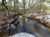 20210124 0081  Prinsenloop : Engelszell Trappisten wandelroute 2021, Wandelingen, Witteberg