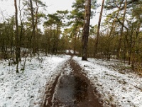 20210124 0082  Witteberg : Engelszell Trappisten wandelroute 2021, Wandelingen, Witteberg