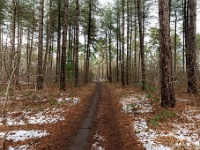 20210124 0089  Witteberg : Engelszell Trappisten wandelroute 2021, Wandelingen, Witteberg