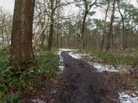 20210124 0090  Witteberg : Engelszell Trappisten wandelroute 2021, Wandelingen, Witteberg