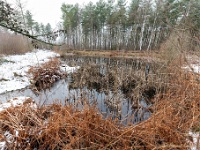 20210124 0093  Witteberg : Engelszell Trappisten wandelroute 2021, Wandelingen, Witteberg