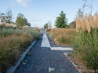 20161009 0008 : In het voetspoor van de Teuten 2016