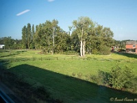 20161009 0039 : In het voetspoor van de Teuten 2016