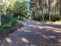 20161009 0114 : In het voetspoor van de Teuten 2016