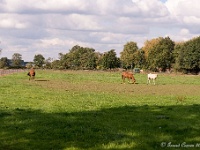 20161009 0383 : In het voetspoor van de Teuten 2016