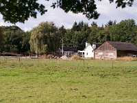 20161009 0409 : In het voetspoor van de Teuten 2016