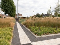 20161009 0477 : In het voetspoor van de Teuten 2016