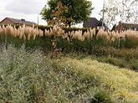 20161009 0479 : In het voetspoor van de Teuten 2016