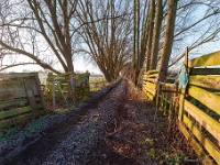 20181226 0044  Privé weg... : Wandelingen, Kerstwandeling Kerstmis 2018