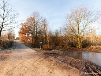 20181226 0087  Kruising Millitaire Dijk en Hees. : Wandelingen, Kerstwandeling Kerstmis 2018