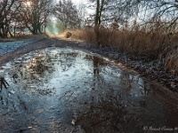 20181226 0101  Schoon hé!... : Wandelingen, Kerstwandeling Kerstmis 2018