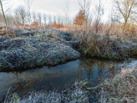 20181226 0105  Winterse uitstraling. : Wandelingen, Kerstwandeling Kerstmis 2018