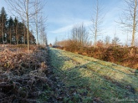 20181226 0121  ... langs de poort wel... : Wandelingen, Kerstwandeling Kerstmis 2018