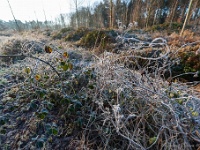 20181226 0129  ... ... : Wandelingen, Kerstwandeling Kerstmis 2018