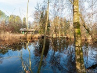 20181226 0142  Dit was ooit mooi. Het resultaat van het uitdoof beleid. : Wandelingen, Kerstwandeling Kerstmis 2018