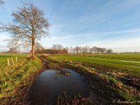 20181226 0149  Nu richting Congo, dus niet Zaire. : Wandelingen, Kerstwandeling Kerstmis 2018