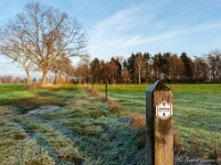 20181226 0152  De VVV weet waar de mooie plekjes zijn. : Wandelingen, Kerstwandeling Kerstmis 2018