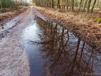20210122 0021  Vorige nacht hevige regen geweest : La Trappe 2021