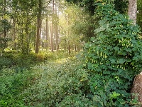 20190917 100608 1 : Wandelingen