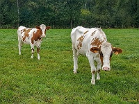 20190926 100222 001 : Wandelingen