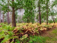 20190928 0004 : Wandelingen