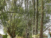 20191010 105122 : Wandelingen