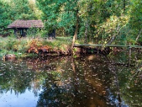 20191014 0003 : Wandelingen