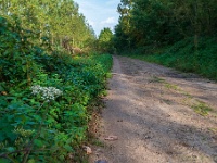 20191014 0004 : Wandelingen