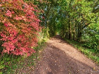 20191014 0006 : Wandelingen