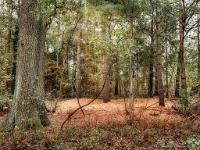20191015 103938 : Wandelingen
