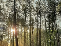20191021 100727 : Wandelingen