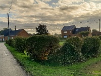 20191021 102228 : Wandelingen