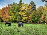 20191023 103144 1 : Wandelingen