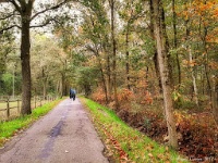 20191023 103817 : Wandelingen