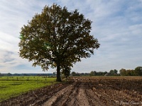 20191116 0001 : Wandelingen