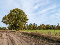 20191116 0003 : Wandelingen