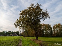 20191116 0004 : Wandelingen
