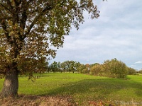 20191116 0006 : Wandelingen