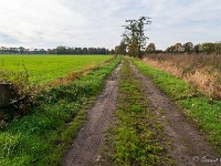 20191116 0009 : Wandelingen