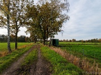 20191116 0010 : Wandelingen