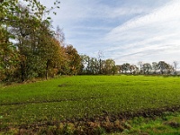 20191116 0014 : Wandelingen