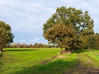 20191116 0023 : Wandelingen