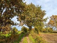 20191116 0025 : Wandelingen