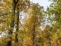 20191116 0029 : Wandelingen