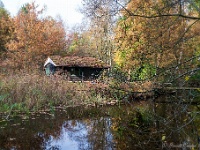 20191116 0035 : Wandelingen