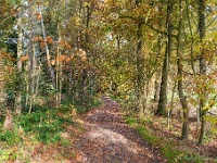 20191116 0036 : Wandelingen