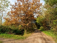 20191116 0041 : Wandelingen