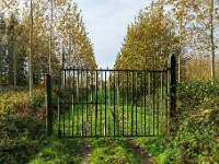20191116 0042 : Wandelingen