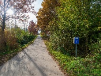 20191116 0047 : Wandelingen