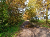 20191116 0050 : Wandelingen